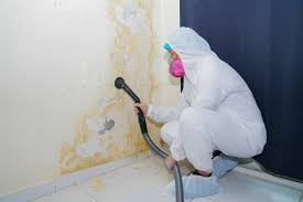 Best Commercial Mold Inspection  in Burlington, NC